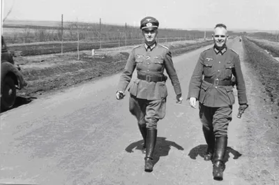 Полевая зеленая немецкая военная форма СС - купить за 68000 руб: недорогие  форма Третьего рейха в СПб