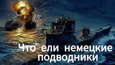 Военно-морская история в фотографиях: немецкая подводная лодка U-505 |  World of Warships