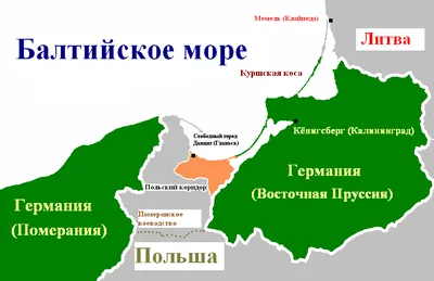 Мебель в прихожую Форест в продаже в интернет магазине belshopmebel.ru