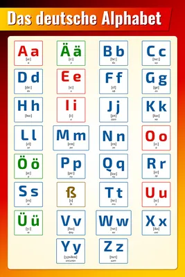 Плакат обучающий А2 ламинир. Немецкий алфавит с транскрипцией и  произношением 457x610 мм - купить с доставкой по выгодным ценам в  интернет-магазине OZON (348627318)