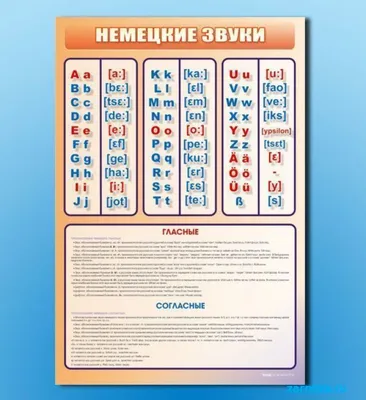 Немецкий алфавит для детей (арт. ШИН11) купить в Москве — выгодные цены в  интернет-магазине АзбукаДекор