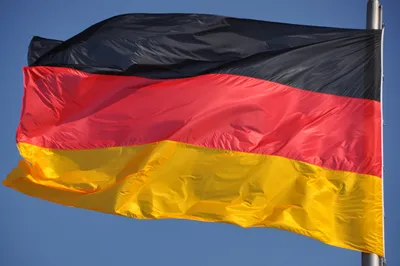 Немецкий флаг с гербом и орлом на щите. Плоская векторная эмблема .  Векторное изображение ©vadishzainer@gmail.com 314759452