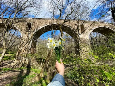 Новокавказский мост в Ставропольском крае – Туристический Кавказ