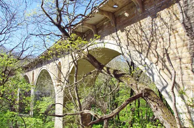Немецкий мост: как и для чего строилась известная достопримечательность  Ставрополя