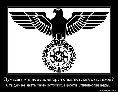 Немецкий Орел Птица В Флаг Цветов — стоковая векторная графика и другие  изображения на тему Германия - Германия, Культура Германии, Орёл - iStock