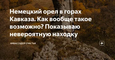 Подвеска Орел Геральдический Герб Германии — Купить на BIGL.UA ᐉ Удобная  Доставка (1782384216)