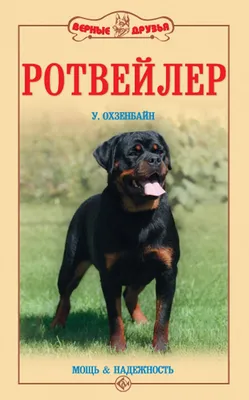 Ротвейлер: история, уход и особенности | Tails - все о домашних животных