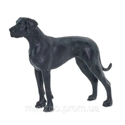 Природа и животные - Собака породы немецкий пинчер 2, NATURE_6354 | 3D  модель для ЧПУ станка
