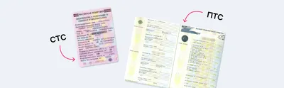 Что такое ПТС — паспорт транспортного средства? — официальный портал по  проверке автомобиля Автокод