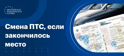 В Шымкенте начали выдавать чипированные техпаспорта на автотранспорт —  Новости Шымкента