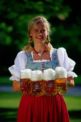 Обновленный бренд Zibert — немецкое пиво на любой вкус | BeerNews.ru