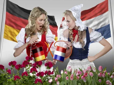 Чем различаются немцы и голландцы, почему это не один народ? Объсняю просто  | Этобаза | Дзен