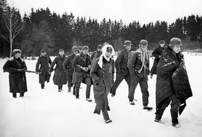 Группа немецких солдат, захваченных в плен во время битвы под Москвой —  военное фото