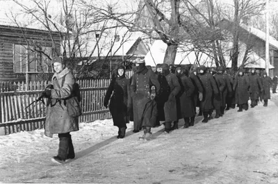 Группа немецких солдат, захваченных в плен во время битвы за Москву [1] —  военное фото