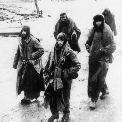 Сколько из 100 тысяч немцев, плененных под Сталинградом вернулось в Геманию  - Рамблер/новости