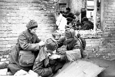 Убитые немецкие солдаты в районе Сталинграда [1] — военное фото