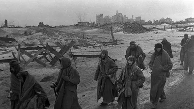 Сколько немецких войск на самом деле было разгромлено в Сталинграде -  Русская семерка