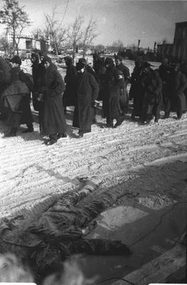 Почему немцы никогда не уничтожали Сталинград с воздуха и что на самом деле  случилось в конце августа 1942 года?