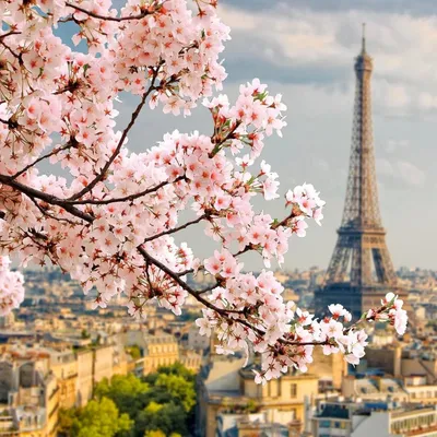 Красивые места по всему миру - Париж - это любовь | Facebook