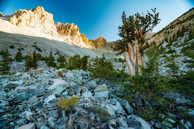 7 AMAZING Nevada National Parks to Visit (Photos + Helpful Guide)