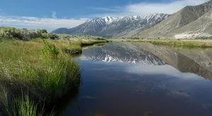 The Nature of Nevada