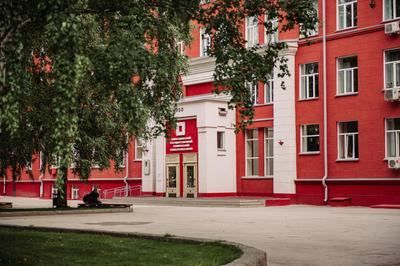 В 2024 году должны открыть первые объекты кампуса НГУ | ОБЩЕСТВО | АиФ  Новосибирск