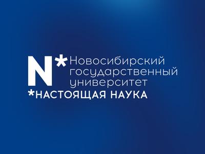 Термонаклейка на одежду \"Новосибирск в разных обстоятельствах\",  Академгородок, вид на НГУ - купить с доставкой по выгодным ценам в  интернет-магазине OZON (973609575)