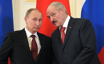 Николай Лукашенко: фото и биография сына президента Белоруссии Александра  Лукашенко | Tatler Россия