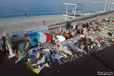 Теракт в Ницце: Полиция задержала еще восемь человек
