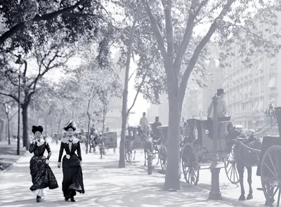 Buffalo: 1900 | Shorpy Old Photos | Framed Prints