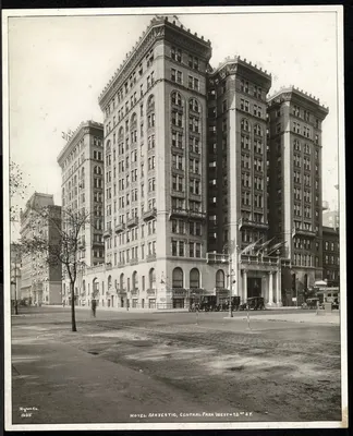 T.C.C.: Madison Square Garden - NYC - 1920s | Madison square garden, New  york pictures, Photo