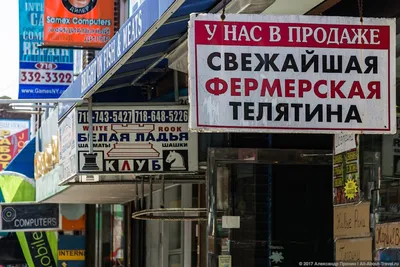 Русскоязычные жители Нью-Йорка солидарны с Украиной | ShareAmerica