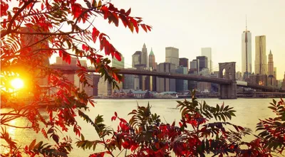 Осенний нью йорк обои - фото и картинки abrakadabra.fun