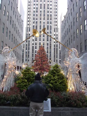 Нью йорк на рождество фото фотографии