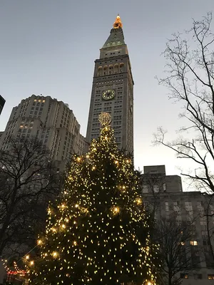 New York Stock Exchange Christmas Tree 🎄 #NYSE 2018 #NYC 🌲 | New york  christmas, Nyc christmas, New york city