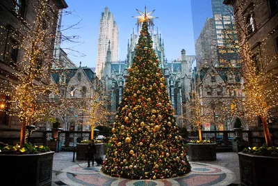 На площади Rockefeller Center в Нью-Йорке установили Рождественскую елку |  RUMesto - портал русскоязычного сообщества в США