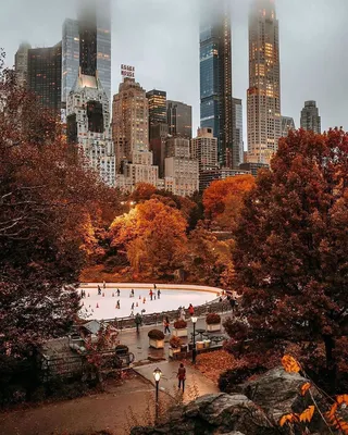 Нью йорк осенью фото
