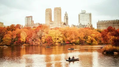 Нью йорк осенью фото фотографии