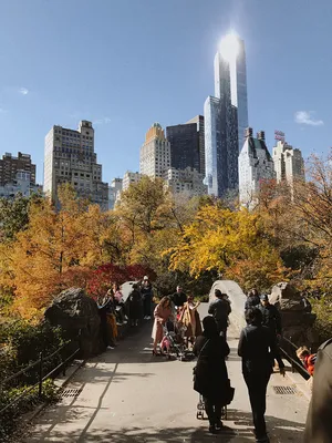 Осенний нью йорк обои - 66 фото