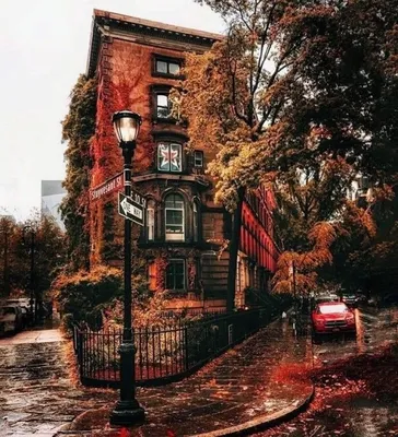 Осенний Нью Йорк - фото и картинки: 94 штук