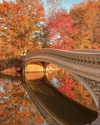 Осень в Нэшвилле штат Нью Йорк осеннее фото, картина Новой Англии осенью  фон картинки и Фото для бесплатной загрузки