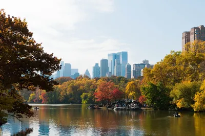 Осень в центральном парке Нью-Йорка, США | Пикабу