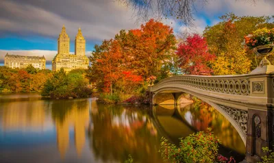 Центральный Парк Осенью, Нью-Йорк, США. Фотография, картинки, изображения и  сток-фотография без роялти. Image 67305616