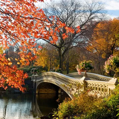 Осень Нью-Йорка центрального парка Стоковое Изображение - изображение  насчитывающей достопримечательностью, парк: 154341377