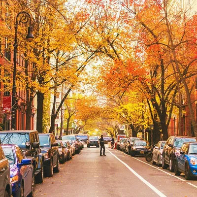 Осень в Нью-Йорке | Пикабу