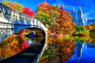 Осень в Нью-Йорке! 10 причин купить туры в Нью-Йорк осенью | Блог