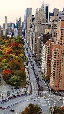 Чем необычна осень в Нью-Йорке?