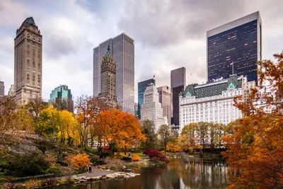 Осень в Нью-Йорке: портрет любимого города