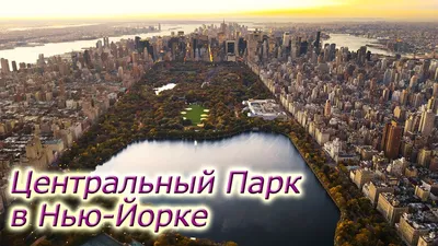 В Нью-Йорке открылся новый парк - причудливый “Маленький остров” на реке  Гудзон | Rubic.us