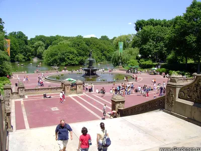 Центральный парк Нью-Йорка — подробное описание, адрес и фото